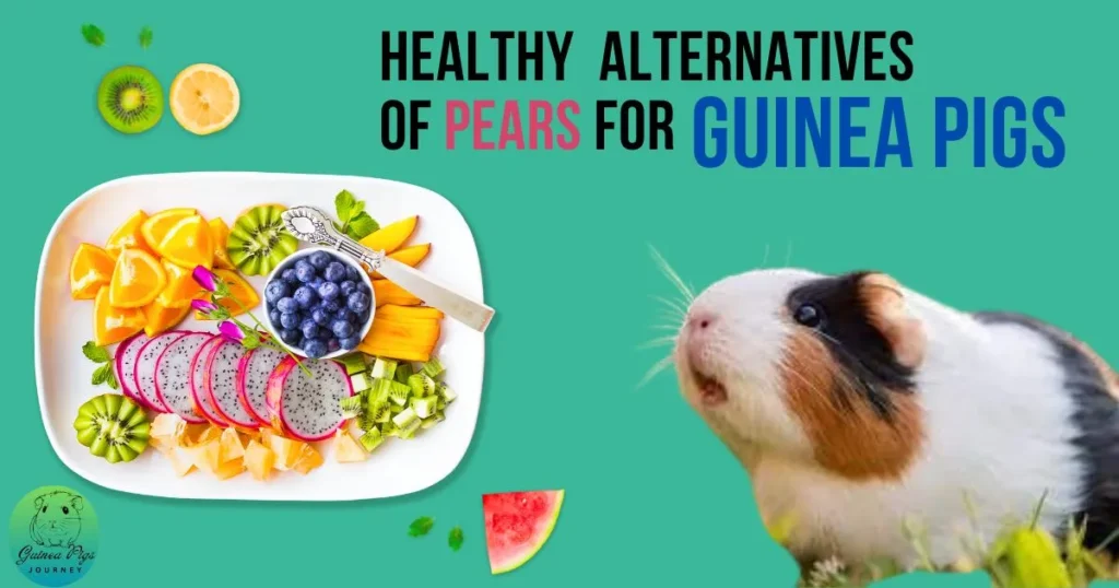 Healthy Alternative of Pears for Guinea Pigs