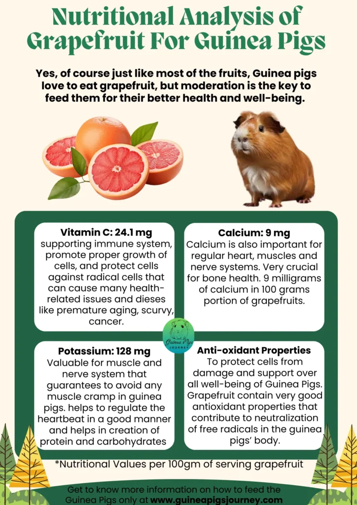 Can guinea 2025 pigs have grapefruit