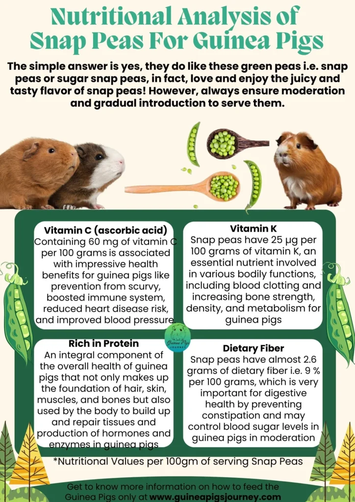 Can guinea pigs eat snap peas?