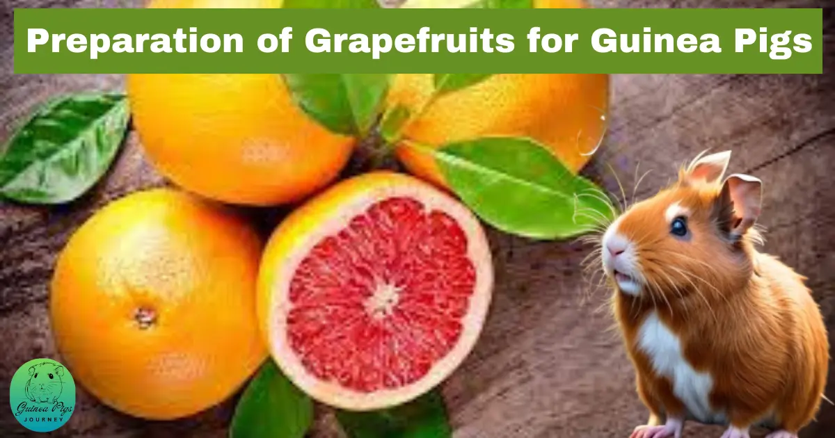 Preparation of grapefruits