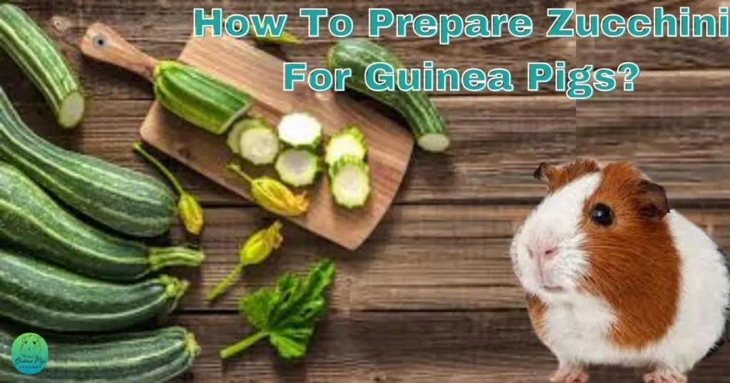 Can Guinea Pigs Eat Zucchini?