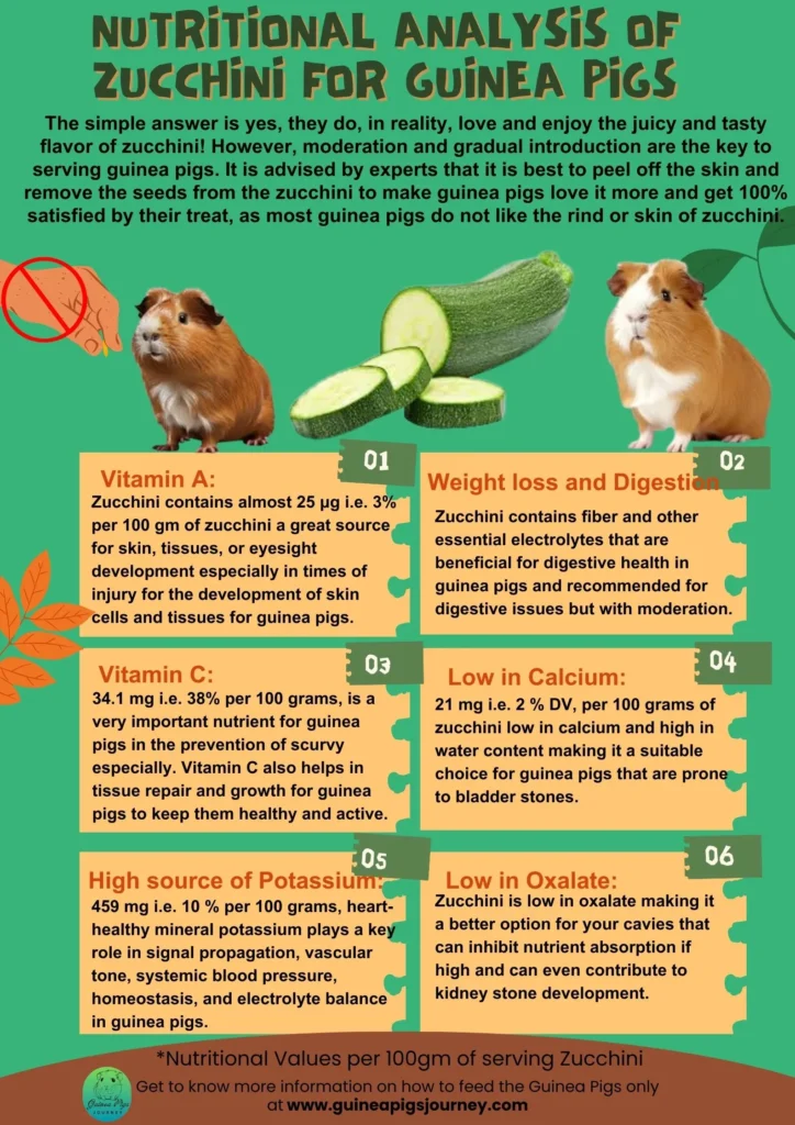 Can guinea outlet pigs have zucchini