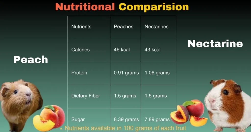 peach and nectarines for guinea pigs