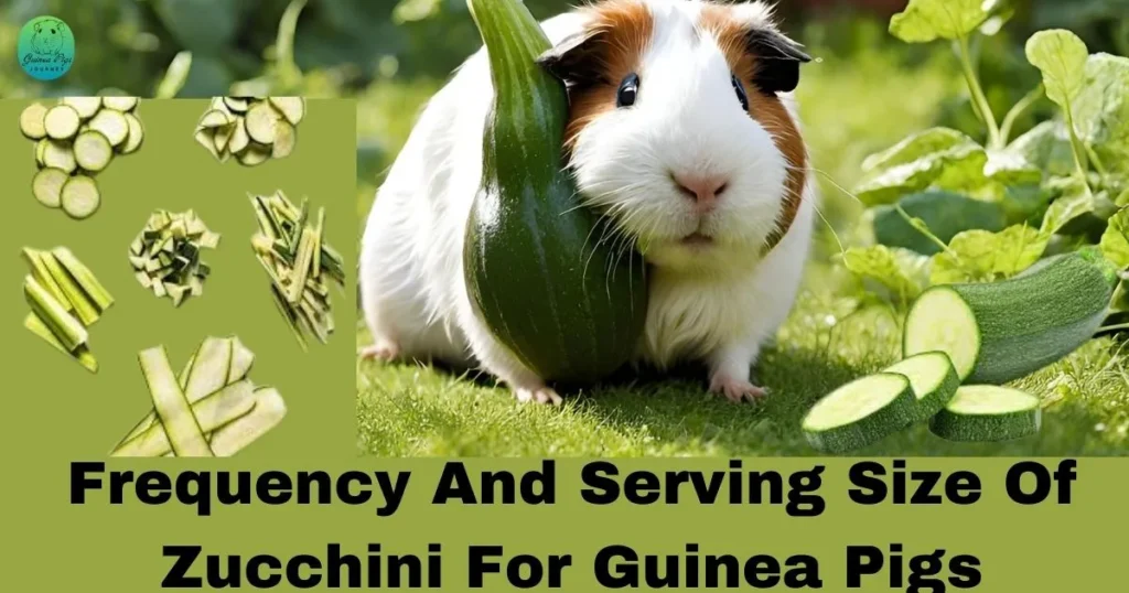 Can guinea pigs eat raw clearance zucchini