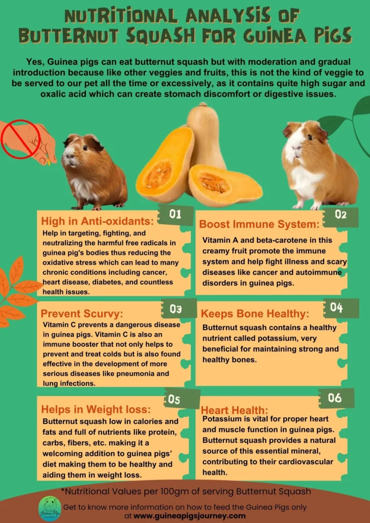 Can guinea pigs eat butternut squash