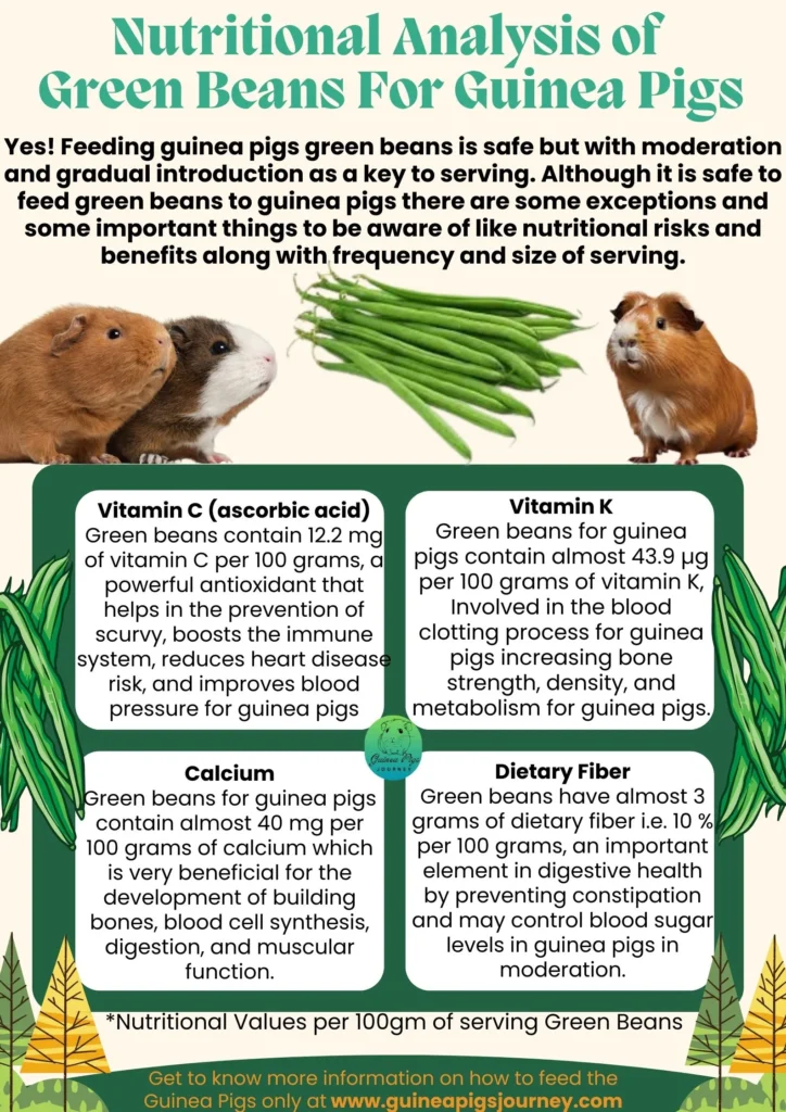 Can guinea pigs eat green beans