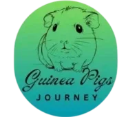 Guinea pigs journey