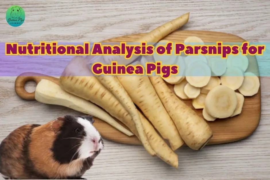 Can Guinea Pigs Eat Parsnips