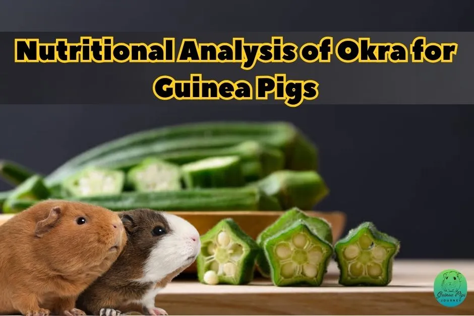 Can Guinea Pigs Eat Okra